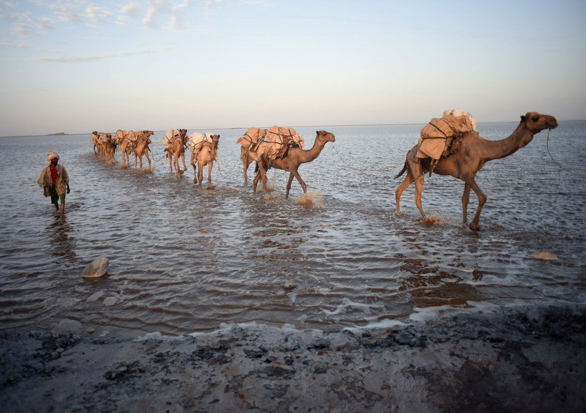 Botswana free ads picture