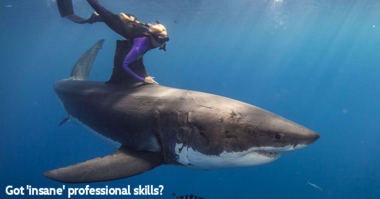 Professionals