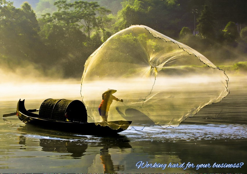 Working hard for your business?